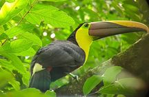 Manuel Antonio National Park : Guided Tour with ADMISSION INCLUDED