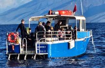 3-Tank Dive Featuring the Molokini Crater