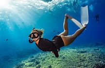 Two Site Snorkeling Adventure featuring the Molokini Crater
