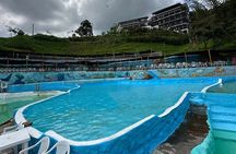 Medellin Tour to Cocorna Slide Extreme Paragliding and Rafting