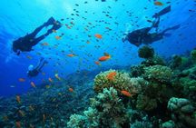 Scuba Diving and Snorkeling Trip in Side