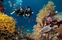 Scuba Diving and Snorkeling Trip in Side