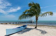 Discover Key West Full Day Adventure Departing from Miami