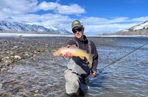 2 Hour Private Guided Walk Wade Fishing at Jackson Hole
