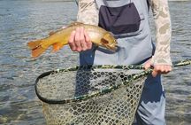 2 Hour Private Guided Walk Wade Fishing at Jackson Hole