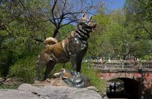 Pedicab 2 Hour Central Park Tour