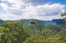 Epic Zipline Canopy Tour - The Gorge Zipline: Saluda, NC
