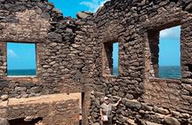 Aruba 6 Hours Private Island Tour