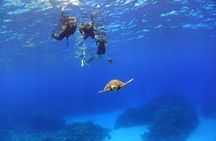 Discover Kerama Nationalparc Snorkeling 1/2 Day 1 FreeBanana Boat