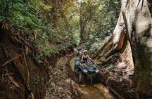 Full Day Tour ATV Adventure and Tegenungan Waterfall and Temples
