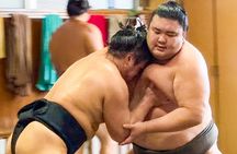 Sumo Practice Watch with a Specialist Reporter