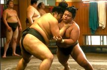 Sumo Practice Watch with a Specialist Reporter