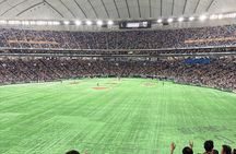 Catch a Baseball Game in Tokyo with a Local - Tickets Included