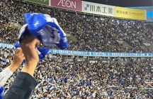 Catch a Baseball Game in Tokyo with a Local - Tickets Included