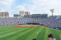Catch a Baseball Game in Tokyo with a Local - Tickets Included