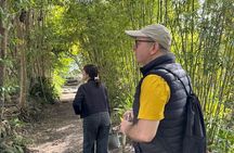 Kagoshima Gardens & Shrines — Local Bus Guided Tour (Small-Group)