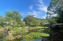 Uncover True Kagoshima Local Guide Hidden Gems Tour/Lunch/Izakaya