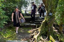 Escape the Crowds: Kagoshima Zen Walking Tour (Gardens & Shrines)