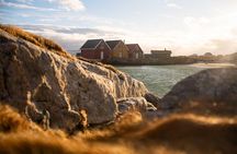 Fjord Tour with Minivan