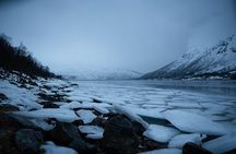 Fjord Tour with Minivan