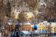 Private Half-day Fiskars Village Tour from Helsinki by Car