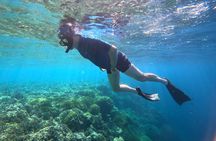 Snorkeling at Menjangan Island Bali Hidden Underwater Gem