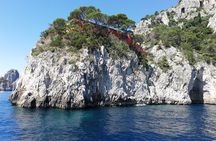 From Sorrento: Capri and Anacapri tour with Faraglioni cruise