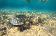 Snorkeling at Menjangan Island Bali Hidden Underwater Gem