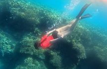 Snorkeling at Menjangan Island Bali Hidden Underwater Gem