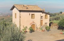 Frascati Day Tour: Road from Rome with Wine Tasting & Lunch
