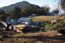 Mardi Himal Trek