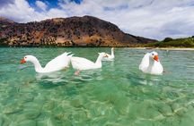 Chania City & Lake Kournas Tour