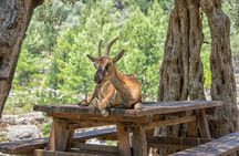 Samaria Gorge Hike