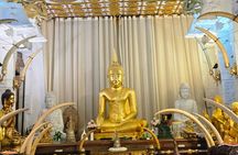 Kandy Full Day Tour Private All Inclusive 