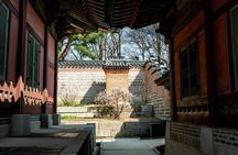Seoul: City Highlights and Historical Experience No Shopping