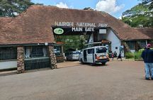 Nairobi National Park & Giraffe Center : Afternoon Game Drive