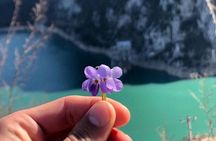 Bovilla Lake Exploration & Hike from Tirana