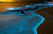 Bioluminescent Plankton, Sea Canoes & Sunset at James Bond Island