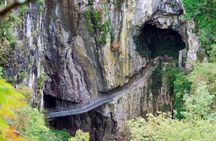 Lipica and Škocjan Caves Full Day Private Tour from Ljubljana