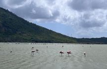 Succulent Local Cuisine, Caves and spectacular Coralmarine