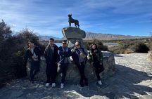 Christchurch to Queenstown One Way Tour Via Lake Tekapo & Mt Cook