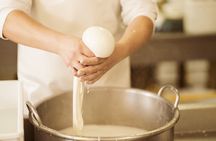 Mozzarella and Burrata Farm Tour in Martina Franca