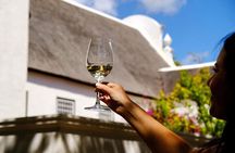 Cape Town Hop- On Hop -Off Tour and Groot Constantia Wine Tasting