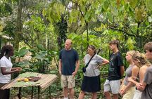 Day Trip Near Accra - Visit Aburi Gardens, Waterfall & Cocoa Farm
