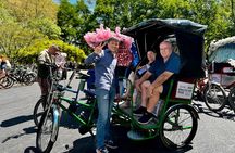  Central Park Pedicab Tours - History and Movie Locations