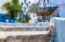 Royal Chefchaouen Day Trip from Tangier 