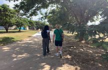 Discover Lusaka: Cultural Walking Tour & Local Lunch Experience
