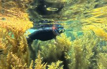 Nha Trang Half-Day Snorkeling Adventure at Marine Park with BBQ