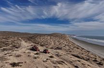 Drive like a Baja 1000 driver in a Speed UTV in Loreto