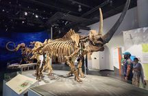 1 Day Drumheller Private Minibus Dinosaurs Hoodoos Bridges Canyon